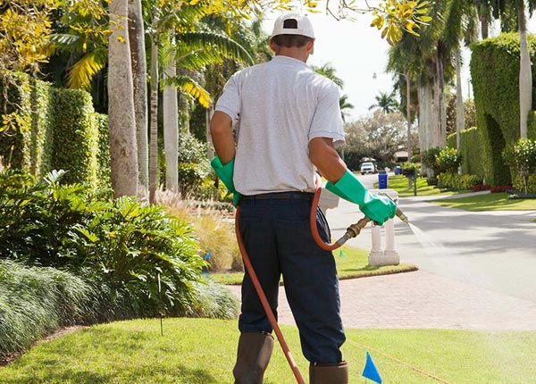 About Aledo TX Pest Control